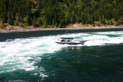 Eco Boat Tour